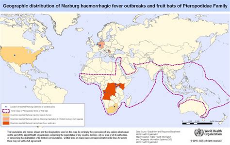 Marburg virus transmission, disease, symptoms, diagnosis & treatment