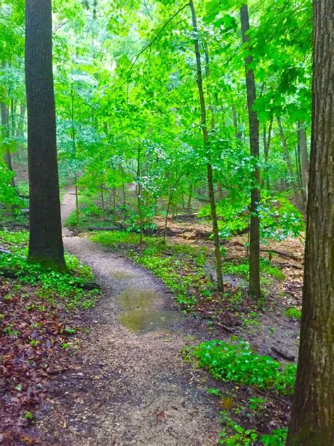 The 12 Best Hikes in Missouri - All Outdoors Guide