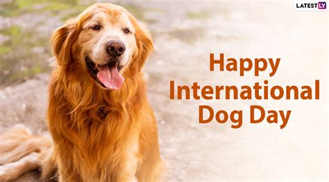 National Dog Day 2024 Facts In Hindi - Cybil Glennie