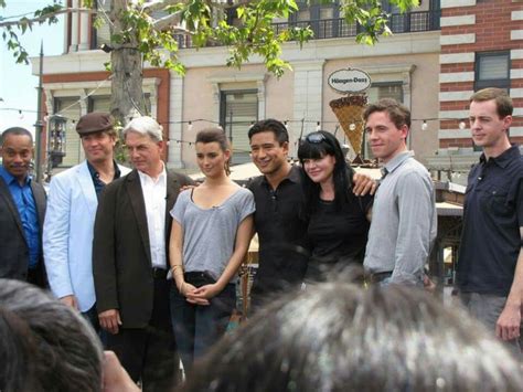 Pin by Shirley Ross on NCIS | Mark harmon, Ncis tv series, Ncis