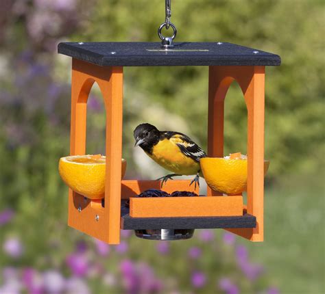 How Do You Make A Homemade Oriole Feeder - My Recipes