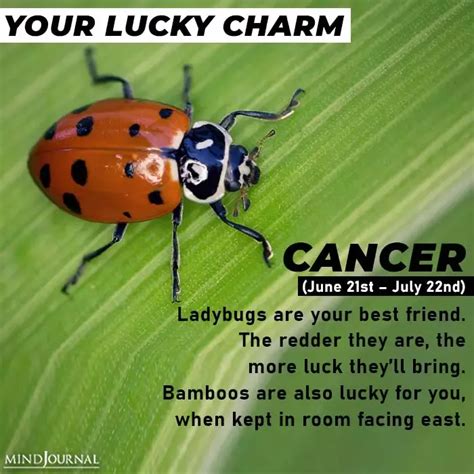 Your lucky charm based on your zodiac sign – Artofit