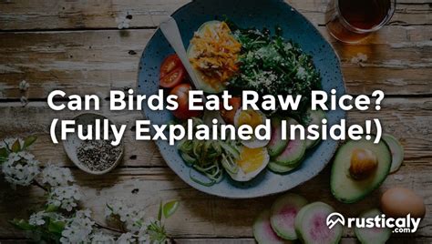 Can Birds Eat Raw Rice? Everything You Need To Know