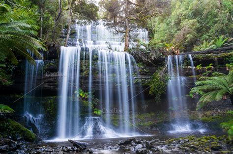 Beautiful waterfall in rainforest. Russel Falls, Mount Field National Park, Tasmania, Australia ...