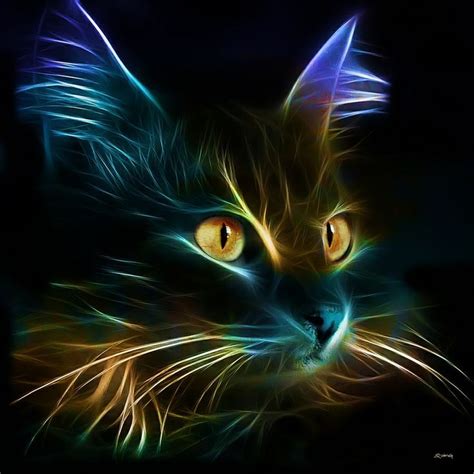 157 best images about Neon Animals on Pinterest | Cats, Male lion and ...