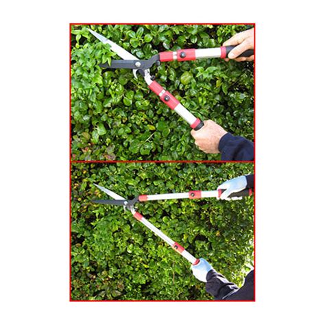 Telescopic Hedge Shears – Wildflower Seed & Tool Company