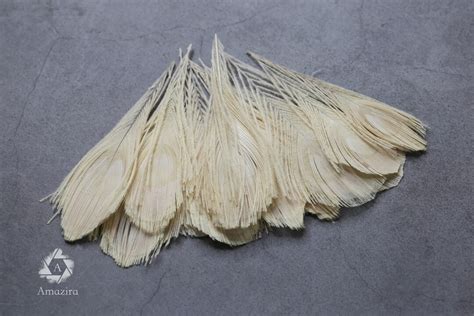 White Peacock Feathers, 4-5 7-10 Cm FREE SHIPPING, Natural White ...