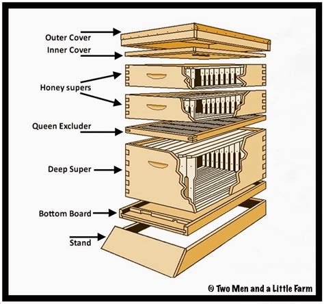 The insides of a Beehive and how they fit together : coolguides