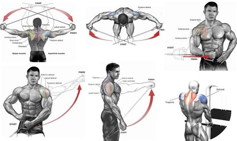 an image of a man doing exercises on his back and shoulder with the muscles highlighted