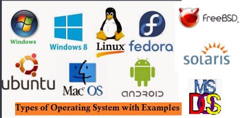 Explain Different Types Of Operating Systems with Examples