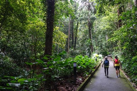 Penang Botanical Gardens: 16 Best Things to Do in 2024 - Penang Insider