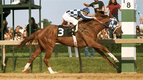 Famous racehorses: 15 of the best of all time | Horse & Hound