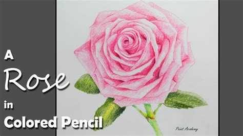 How to Draw A Rose in Colored Pencil - YouTube