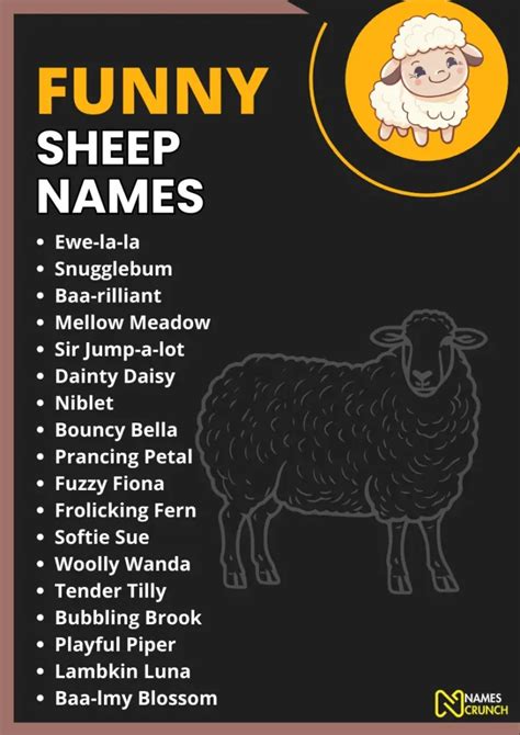 350+ Funny Sheep Names (Cute But Hilarious) - Names Crunch