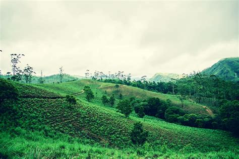 Thekkady in Kerala - Fall in love with the beauty of Thekkady