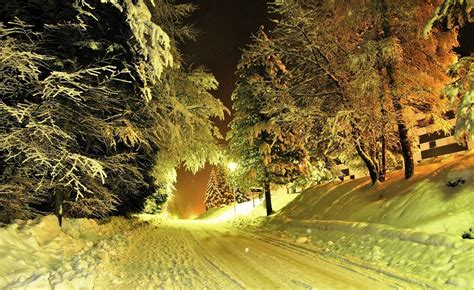 photography, Nature, Landscape, Winter, Trees, Night, Lights, Road, Snow Wallpapers HD / Desktop ...