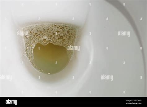 White ceramic toilet bowl full of urine, close-up shot Stock Photo - Alamy