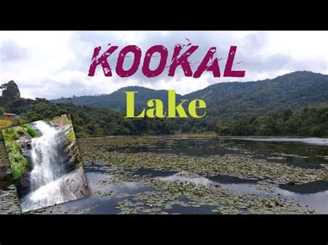 Kookal Lake Kodaikanal | Kookal Falls | Hidden Water Falls in Kodaikanal - YouTube