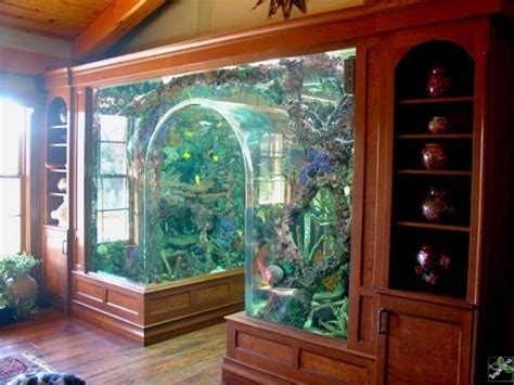 unique aquarium design with furniture shape in living room | Aquarium design, Amazing aquariums ...