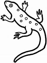 Cartoon gecko coloring Pages Download And Print For Free sketch template