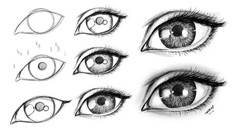 How to Draw an Female Eye Step by Step | Eye drawing, Realistic eye ...