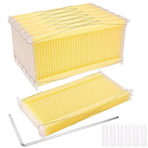 Buy Globe House Products GHP 7-Pcs Food Grade Auto Flow Beehive Harvesting Plastic Combs with ...