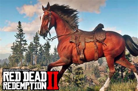 Red Dead Redemption 2 BEST Horse: How to get White Arabian, Missouri ...