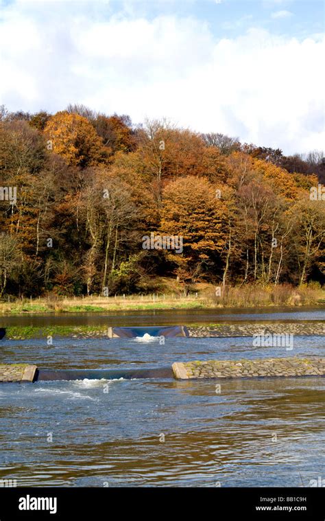 lake taff bargoed community park near merthyr tydfil south wales Stock ...