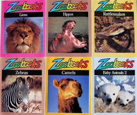 HUGE Lot 30 Zoobooks Magazine for Kids Ages 6-12 Educational Animals Nature | #1812135541