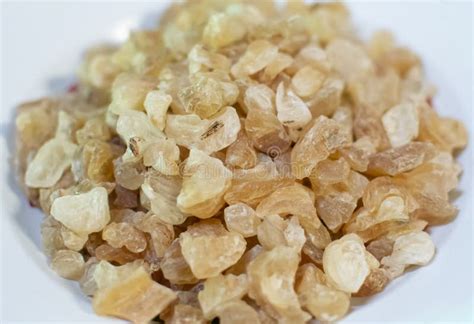 Edible Gum Tree Sap Gum Tragacanth Stock Image - Image of systems, katira: 171890341