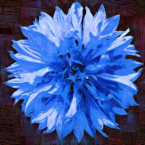 All This Is That: Painting: Flower #40 - cornflower