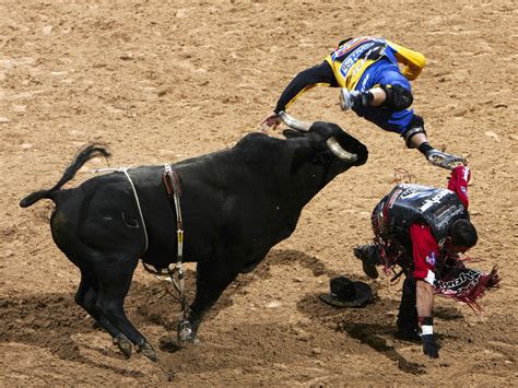 The Rodeo Circuit: Bucking Bulls And Broken Bones | WBUR News