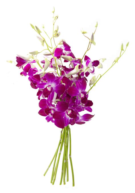 KaBloom: Bouquet of 10 Purple Dendrobium Orchids - Fresh Flowers for Delivery - Walmart.com