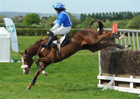 Penultimate race day | Equestrian news & information in Devon | Midweek ...