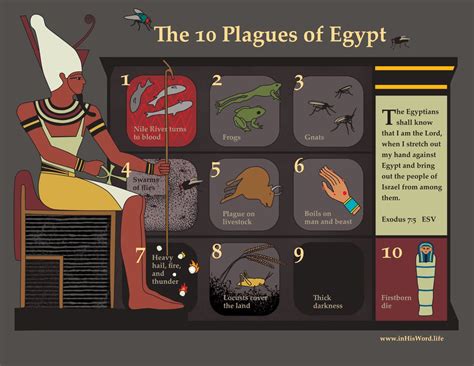 The 10 Plagues of Egypt | InHisWord