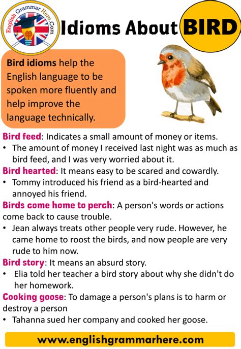 Idioms About Bird, List of Idioms Related To Bird - English Grammar Here