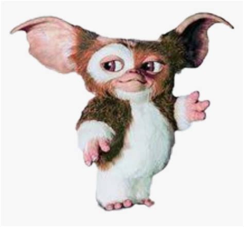 Transparent Gizmo Png - Mogwai Gremlins, Png Download - kindpng