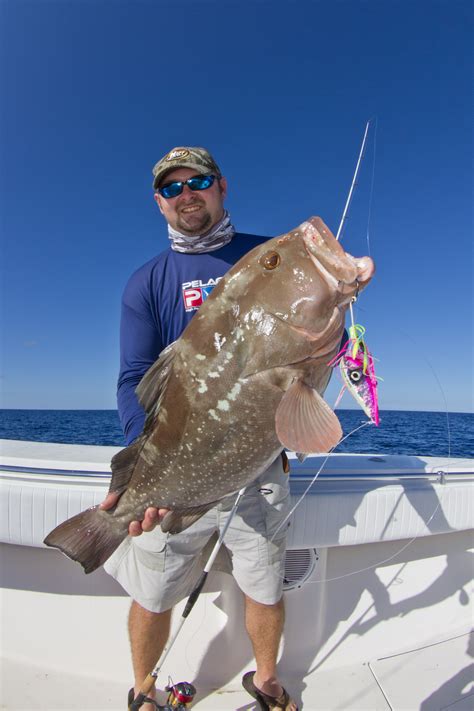 Red Grouper Fishing in the Florida Keys