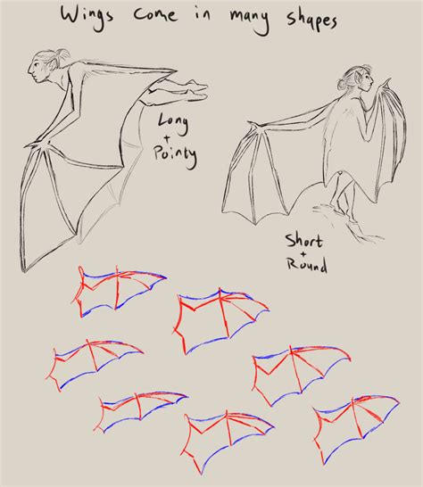 Bat Wing Drawing - Drawing Skill