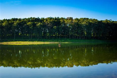 Lake Pinamaloy is the treasure and pride of Don Carlos, Bukidnon. One ...