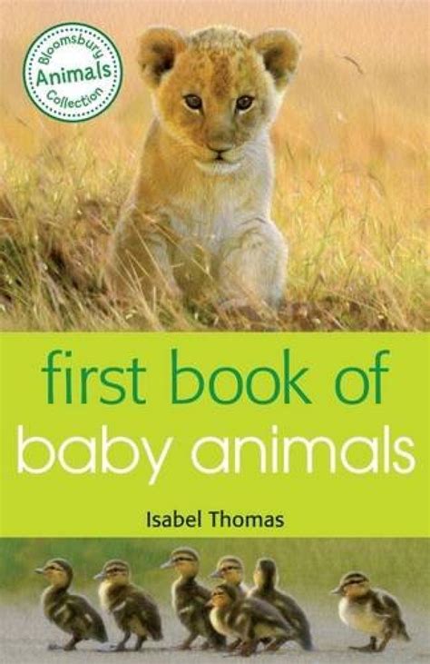 First Book of Baby Animals | NHBS Academic & Professional Books