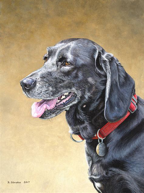 Black Labrador by NewAgeTraveller on DeviantArt