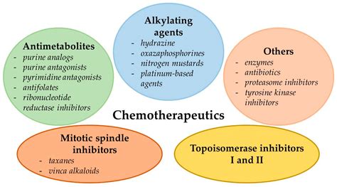 IJMS | Free Full-Text | Mechanisms of Multidrug Resistance in Cancer Chemotherapy