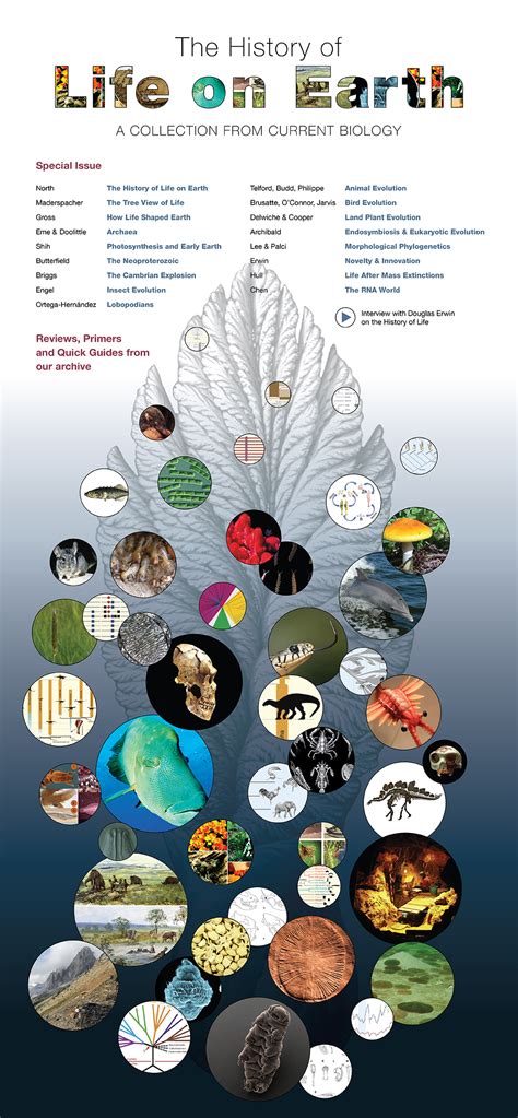 Cell Press: Current Biology