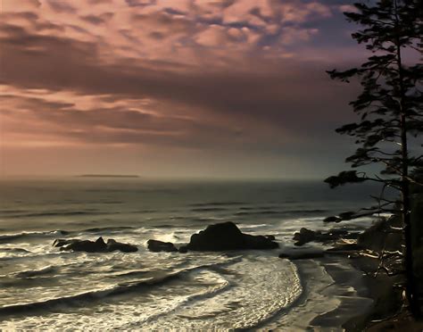 Kalaloch Photograph by Kesh Brown - Fine Art America