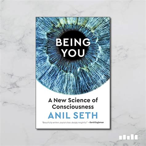 Being You by Anil Seth - Five Books Expert Reviews