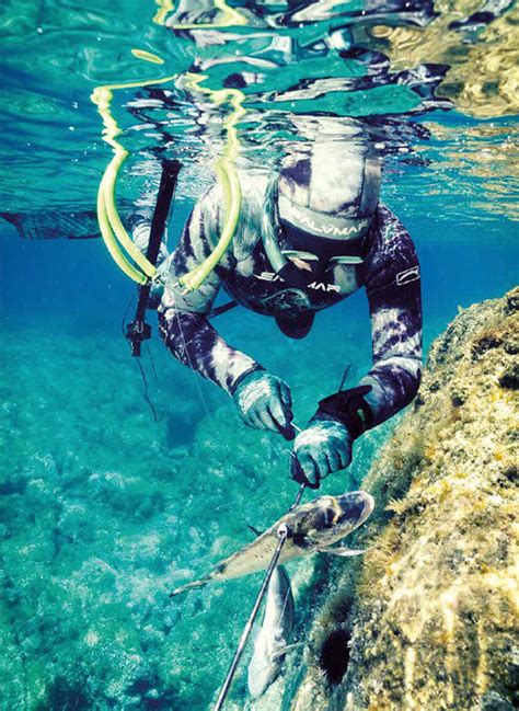 Spearfishing Equipment | The FreeDiver