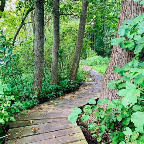 9 Best Hikes To Experience In Wisconsin | Best hikes, Wisconsin state parks, Wisconsin travel