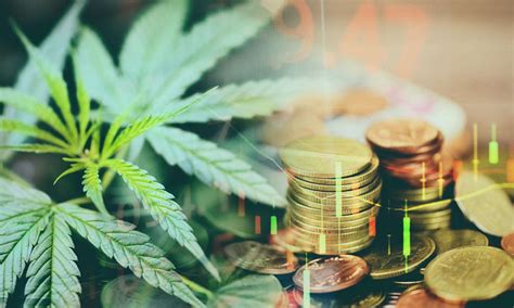 What to Expect from the Cannabis Industry in 2021