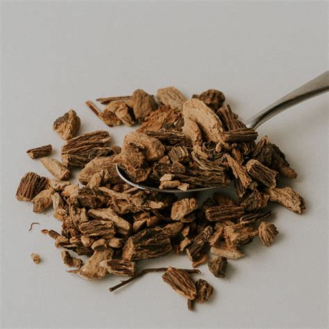 Gentian Root - 1/2 lb - Lone Star Botanicals